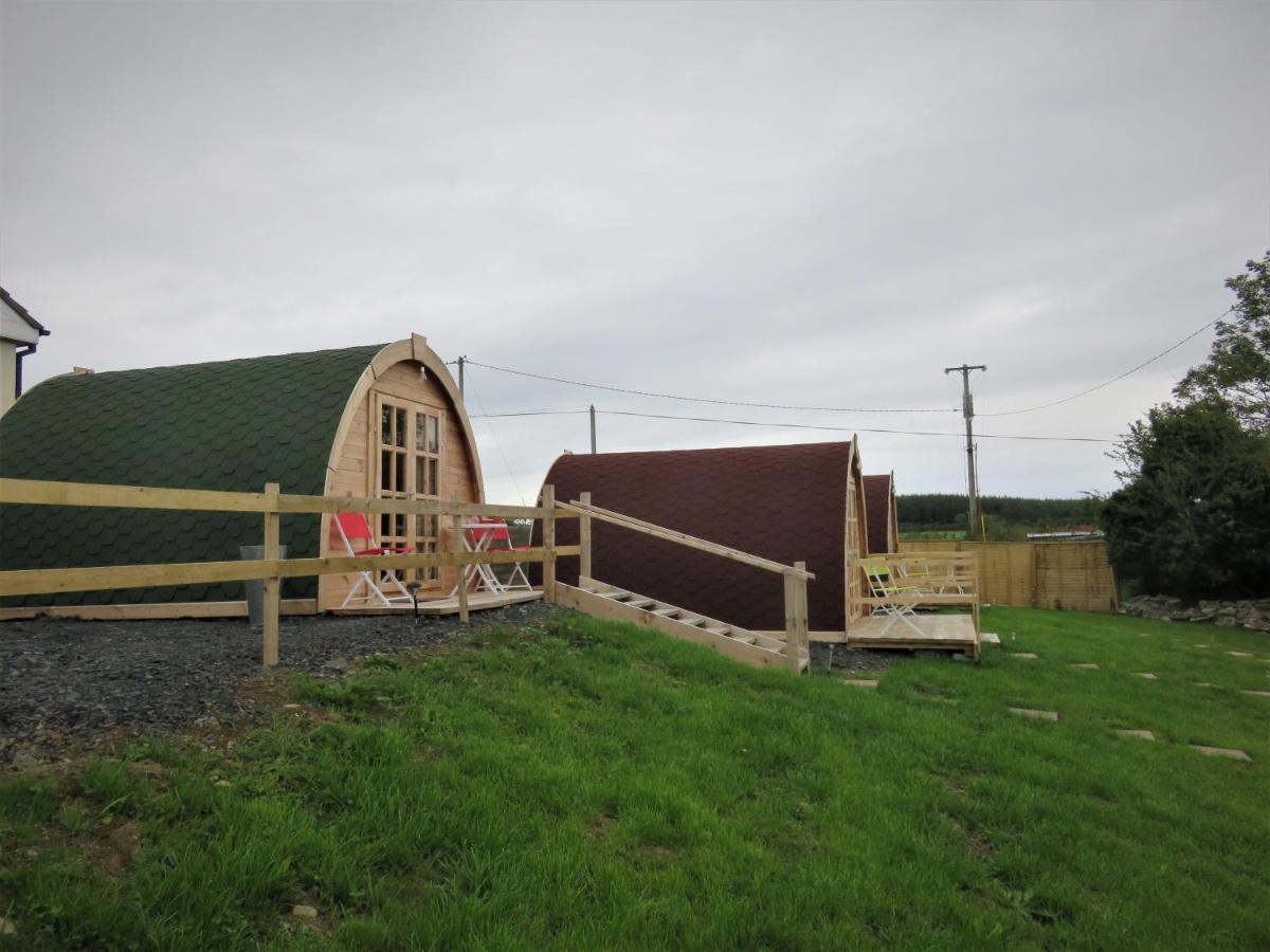 Shannon Estuary Glamping Effernan Eksteriør billede