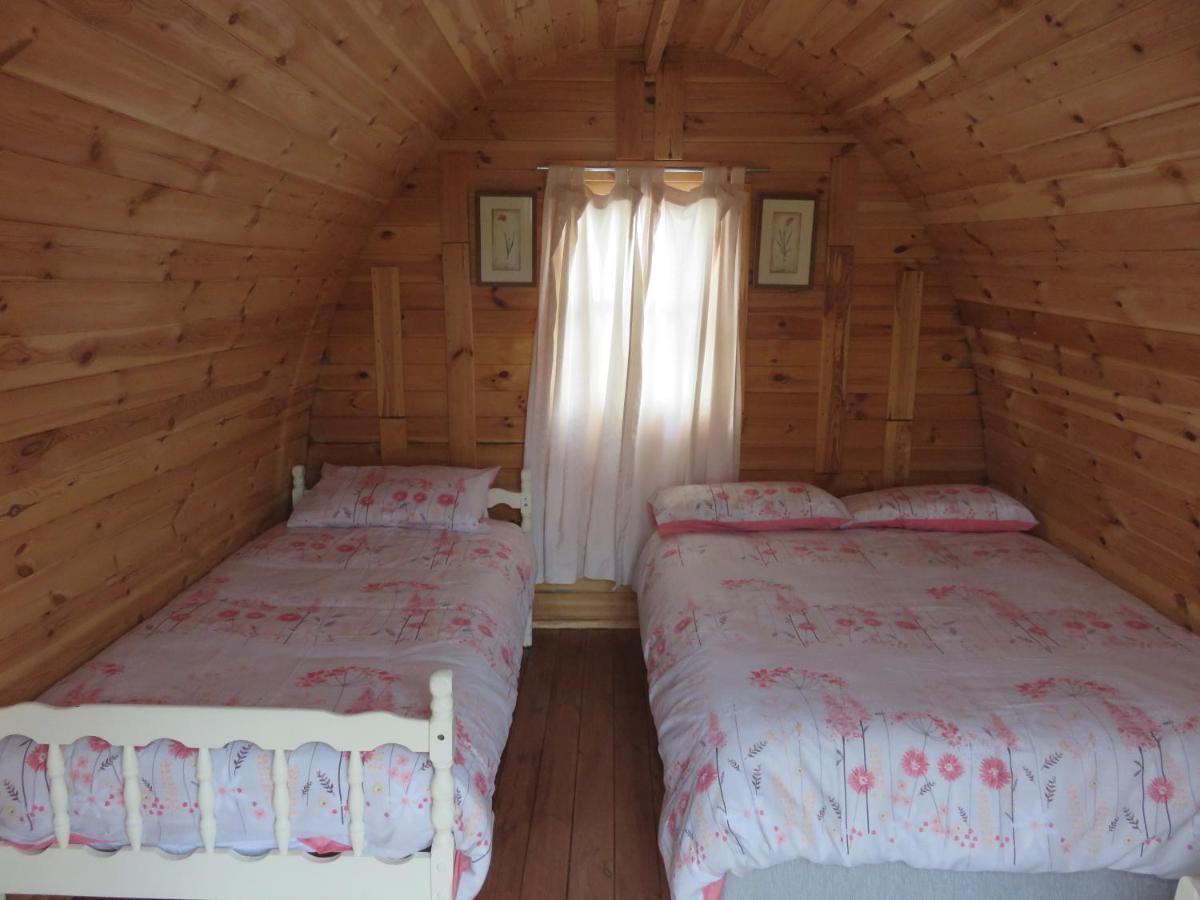 Shannon Estuary Glamping Effernan Eksteriør billede