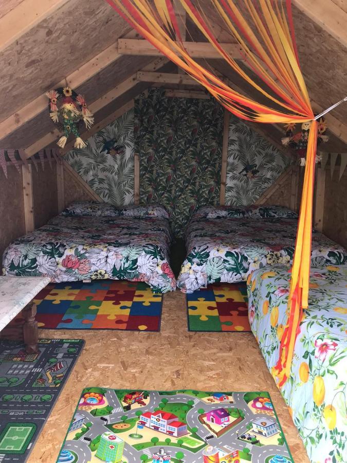 Shannon Estuary Glamping Effernan Eksteriør billede