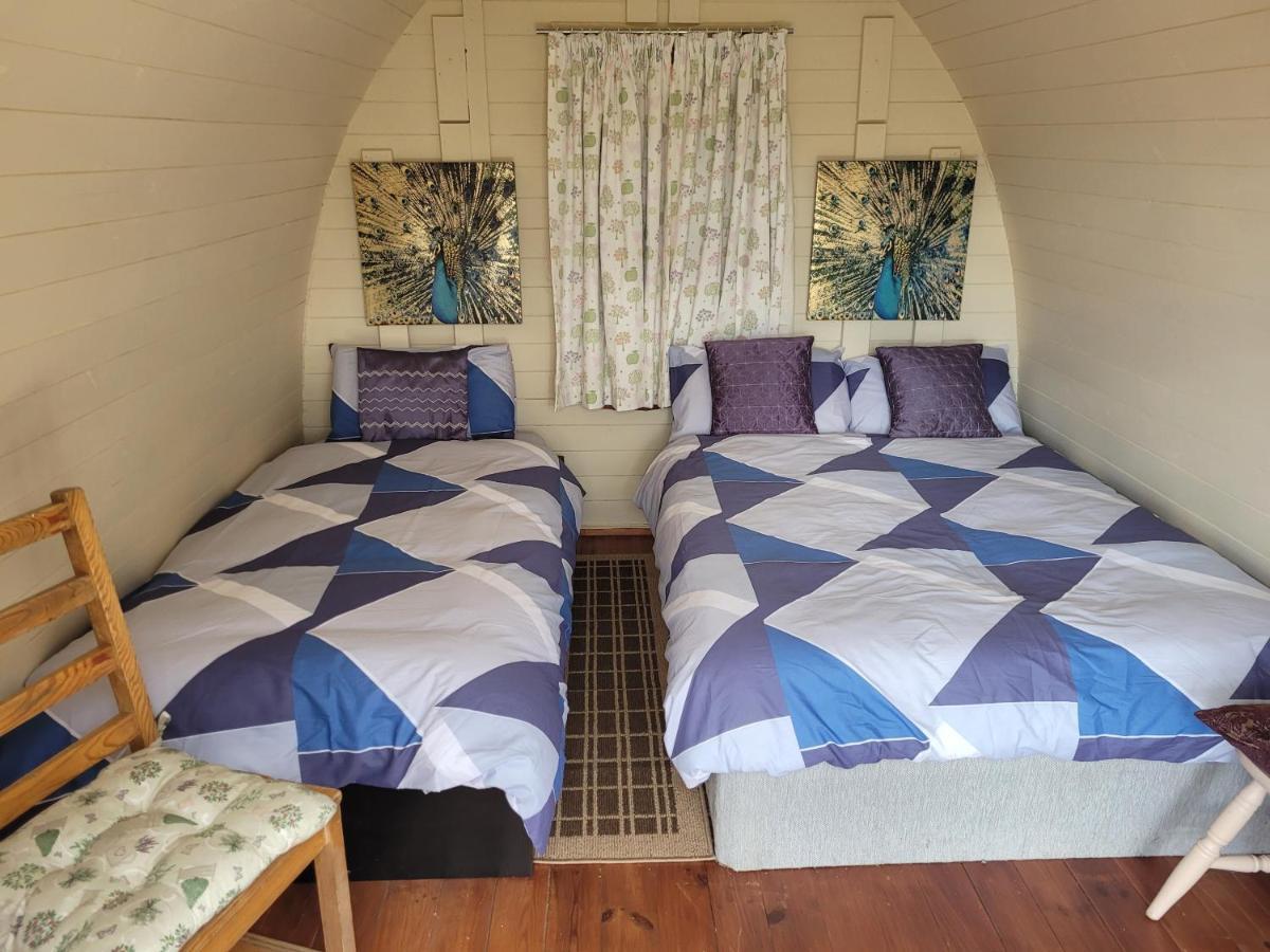 Shannon Estuary Glamping Effernan Eksteriør billede