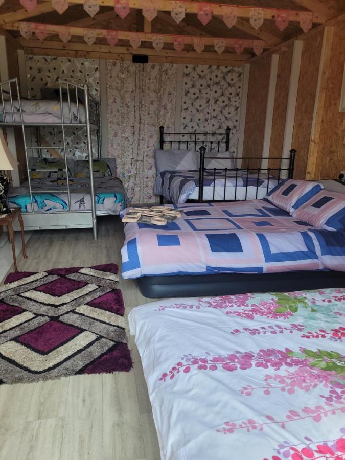 Shannon Estuary Glamping Effernan Eksteriør billede