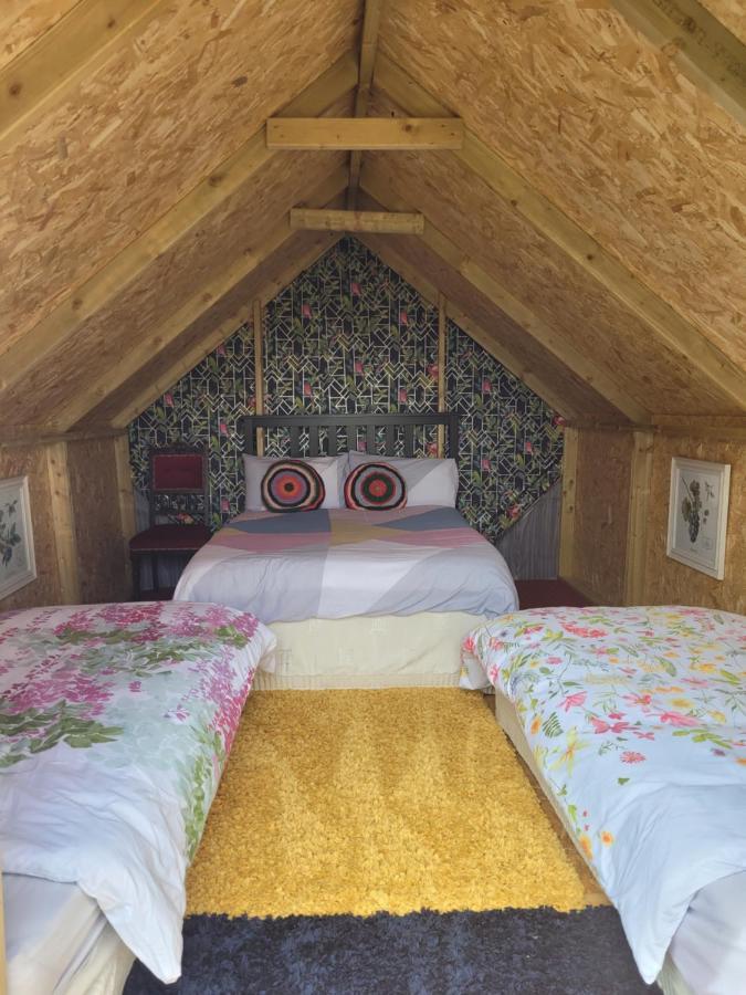 Shannon Estuary Glamping Effernan Eksteriør billede