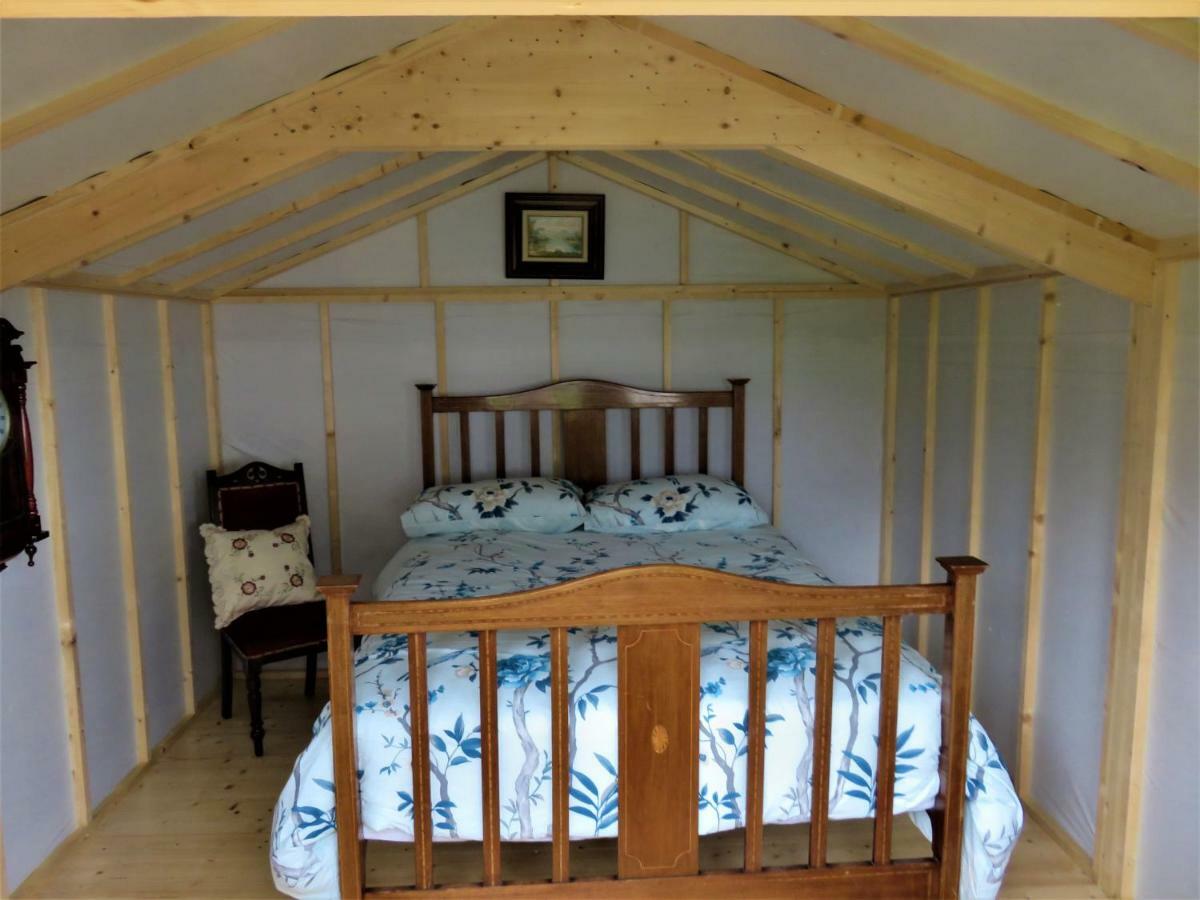 Shannon Estuary Glamping Effernan Eksteriør billede