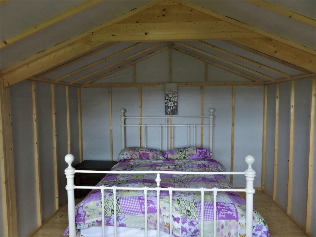 Shannon Estuary Glamping Effernan Eksteriør billede