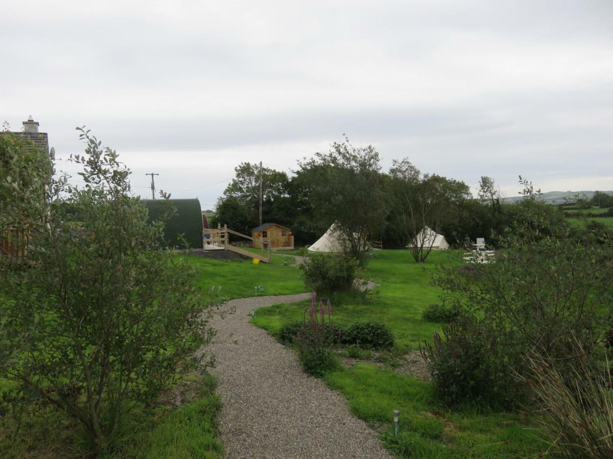 Shannon Estuary Glamping Effernan Eksteriør billede
