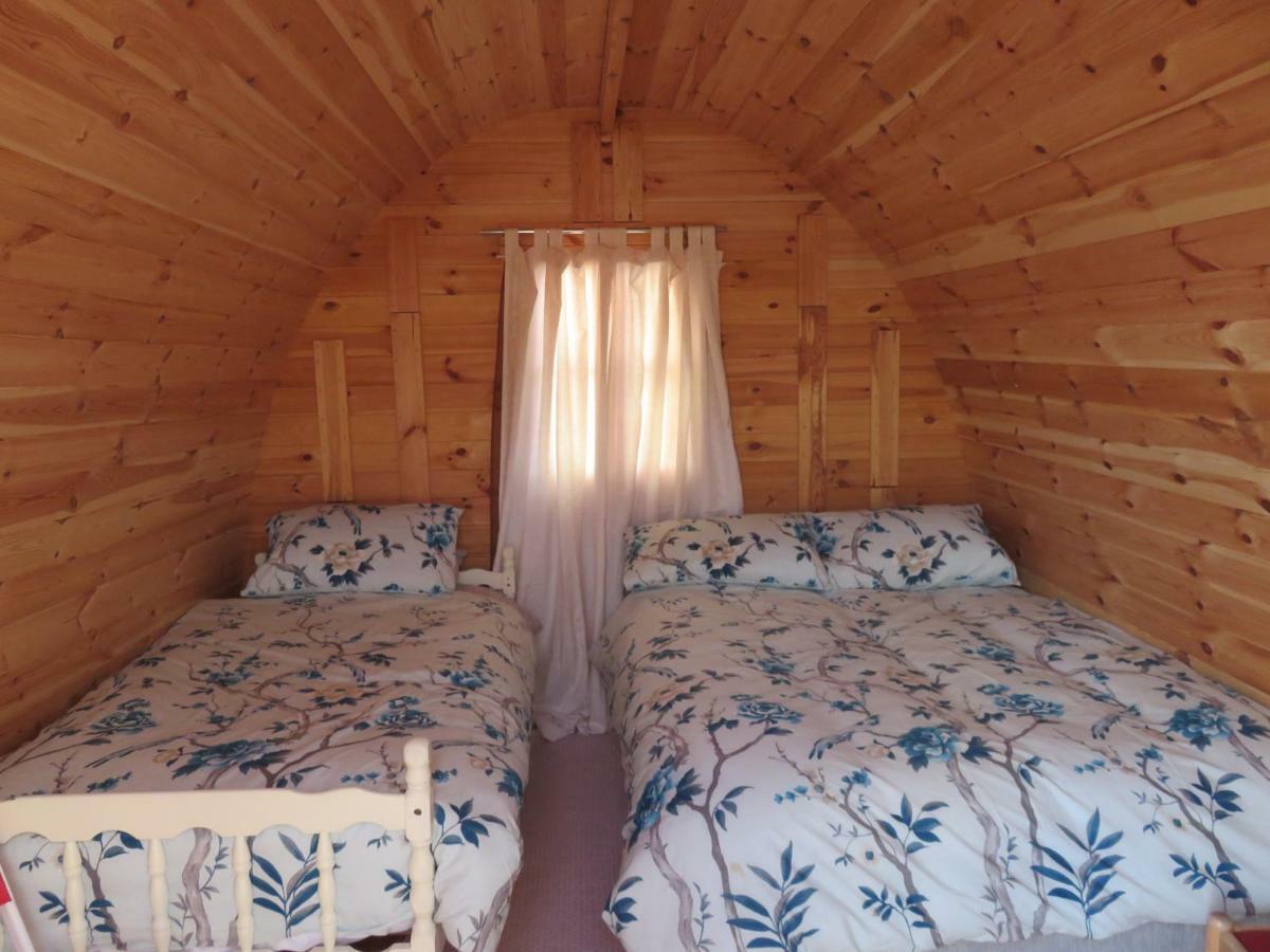 Shannon Estuary Glamping Effernan Eksteriør billede
