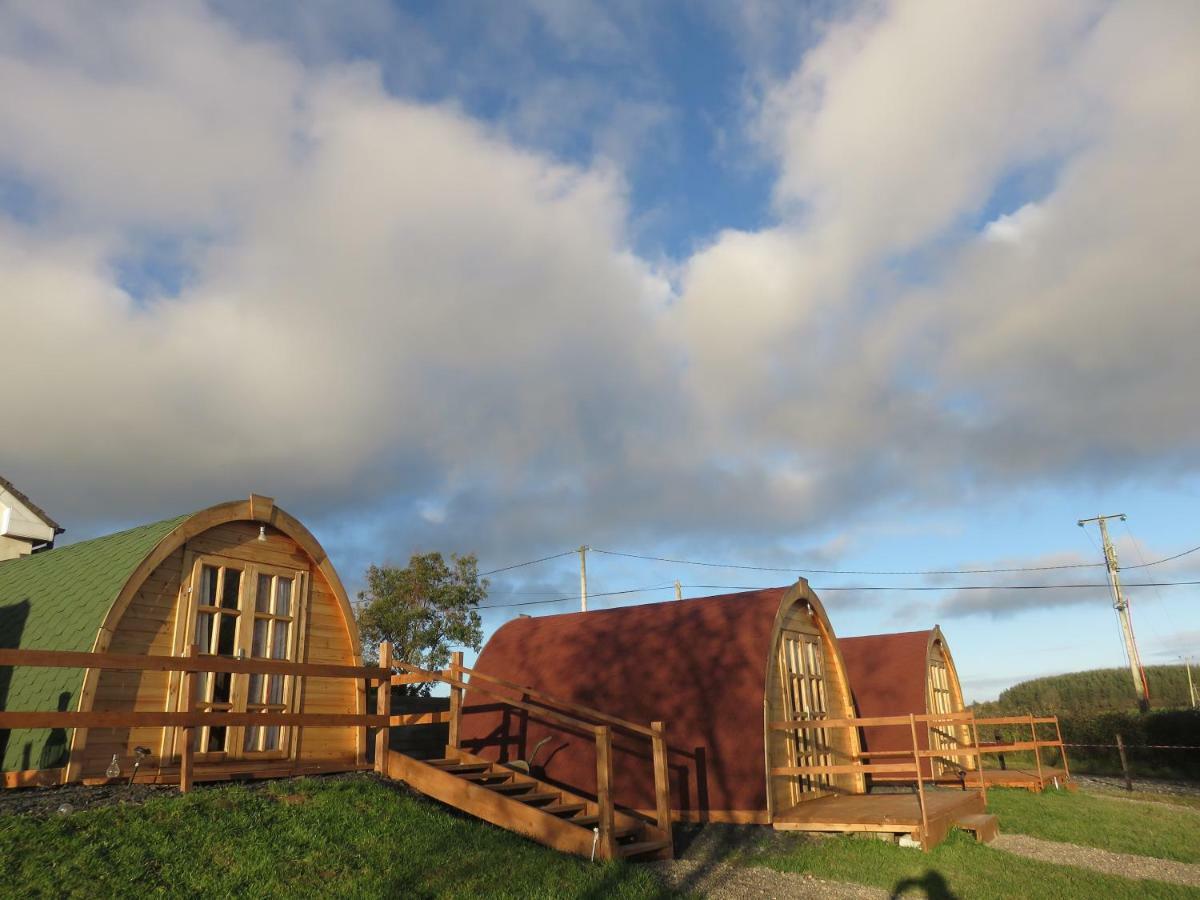 Shannon Estuary Glamping Effernan Eksteriør billede