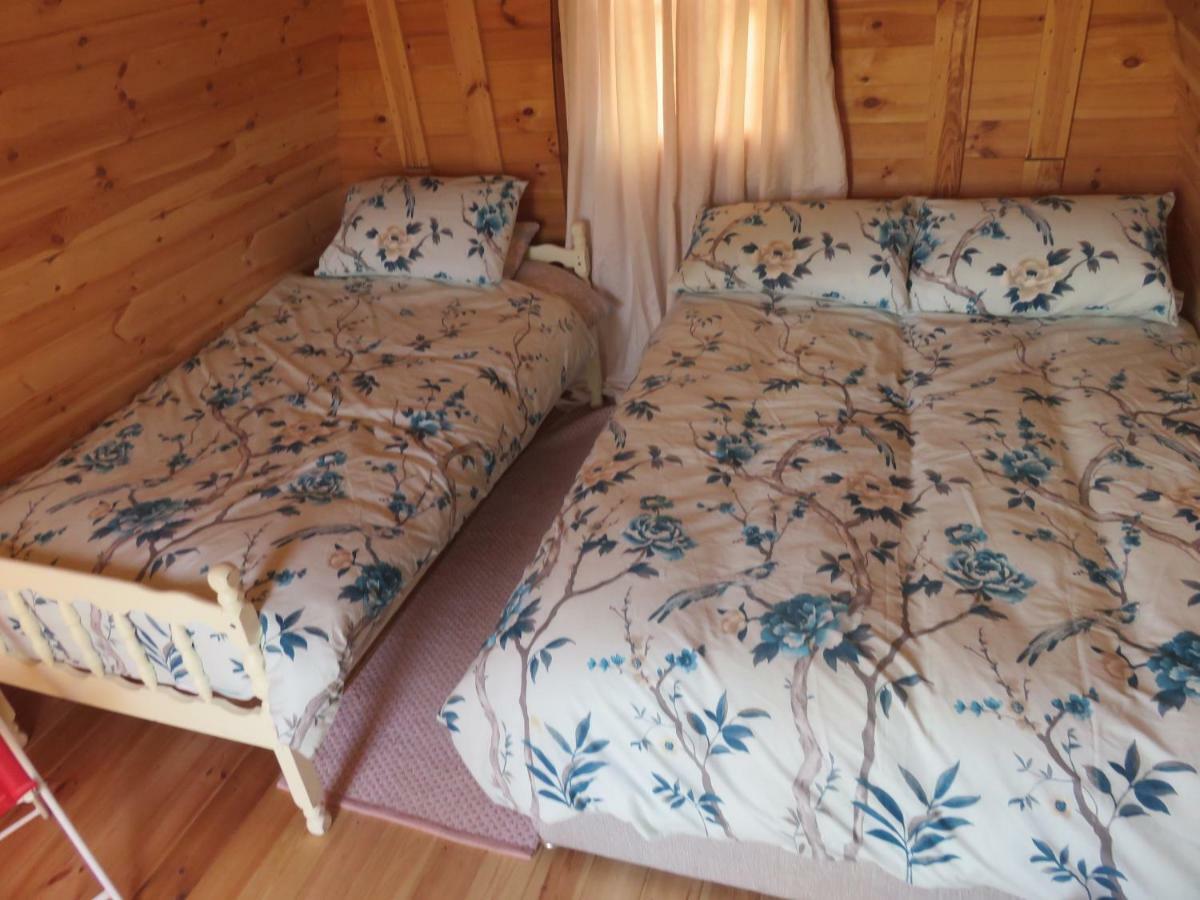 Shannon Estuary Glamping Effernan Eksteriør billede