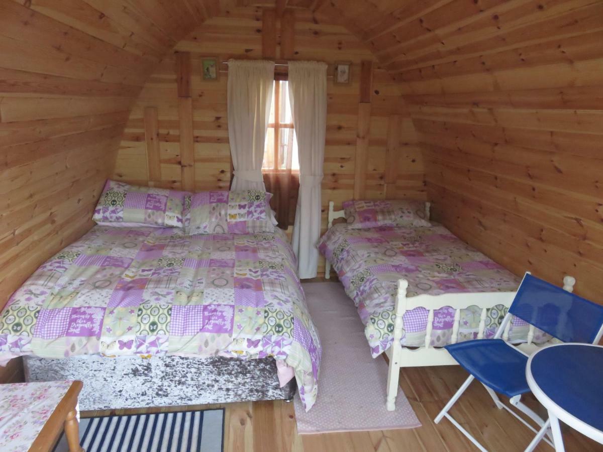Shannon Estuary Glamping Effernan Eksteriør billede