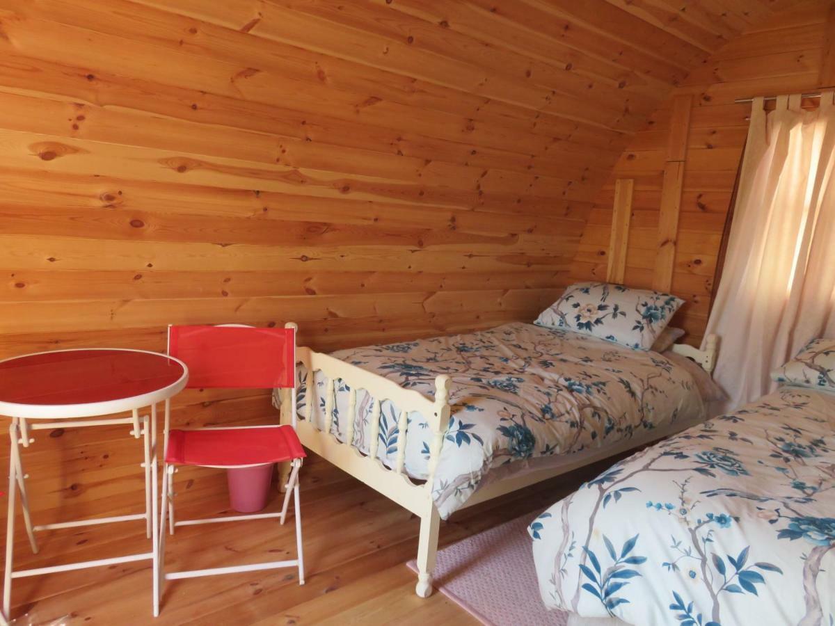 Shannon Estuary Glamping Effernan Eksteriør billede