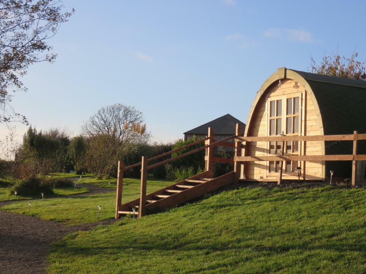 Shannon Estuary Glamping Effernan Eksteriør billede
