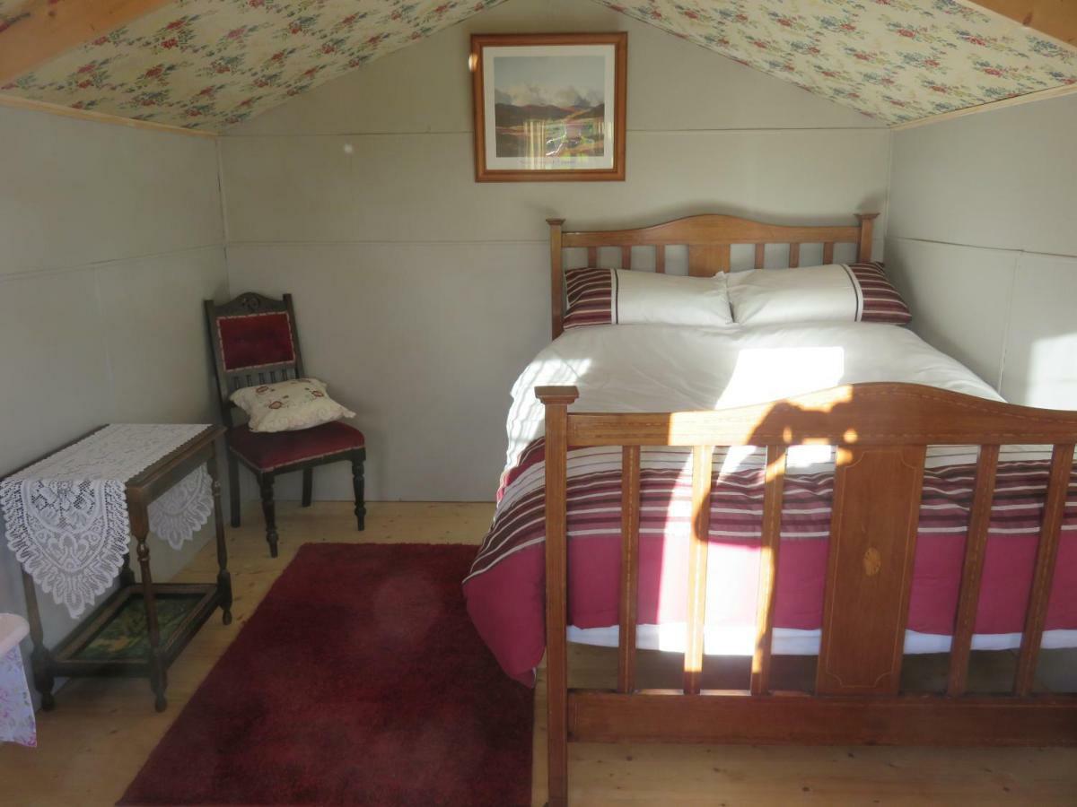 Shannon Estuary Glamping Effernan Eksteriør billede